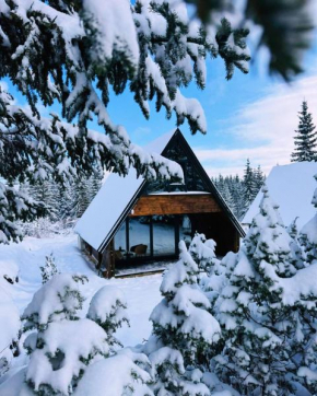 Mountain homes Durmitor 3